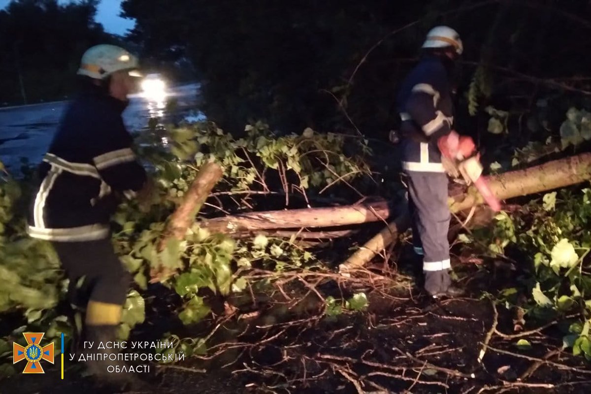 На Днепропетровщине спасатели весь вечер убирали деревья, которые падали на проезжую часть, - ФОТО, фото-4