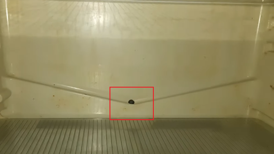 Засмічення дренажного отвору