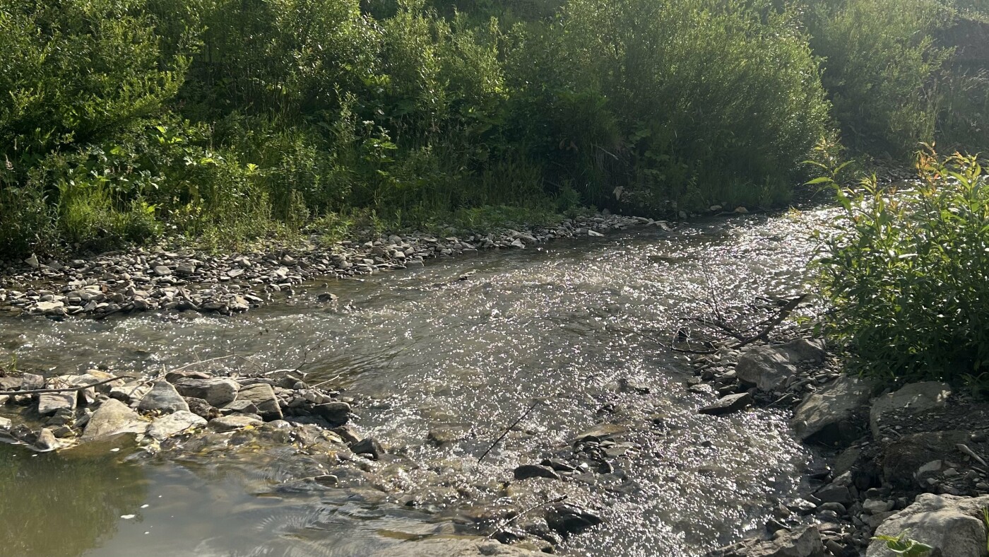 Відпочинок у Карпатах, Львові та Львівській області: готелі, бази відпочинку, SPA, басейни та розваги, фото-51