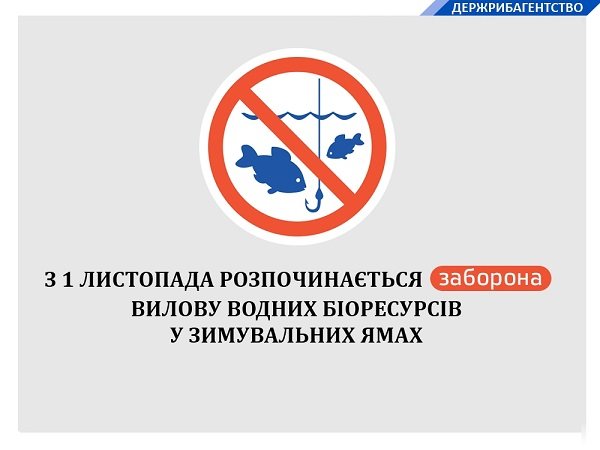 Где ловить рыбу запрещено: карта зимовальных ям на Днепре