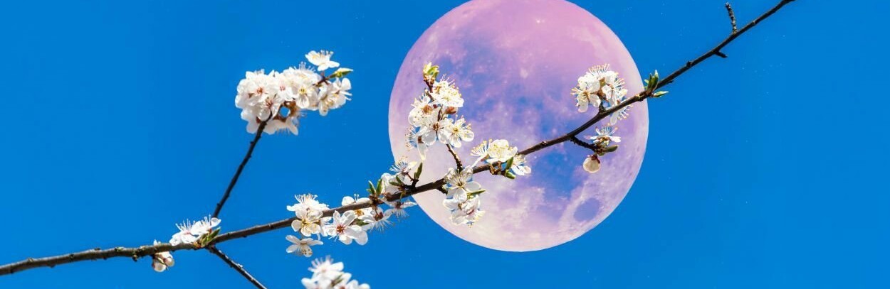 Лунный гороскоп для днепрян на сегодня, 27 апреля Лунный гороскоп для днепрян на сегодня, 27 апреля, Маргарита Бубнова