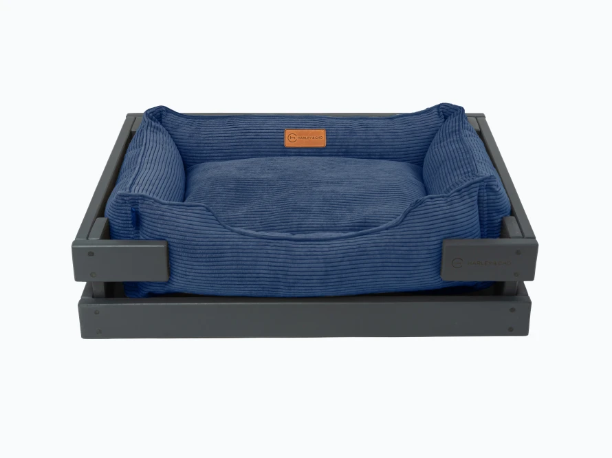 Dreamer Gray Denim Velvet