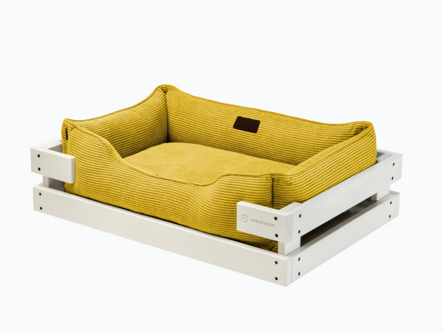 Dreamer White Yellow Velvet