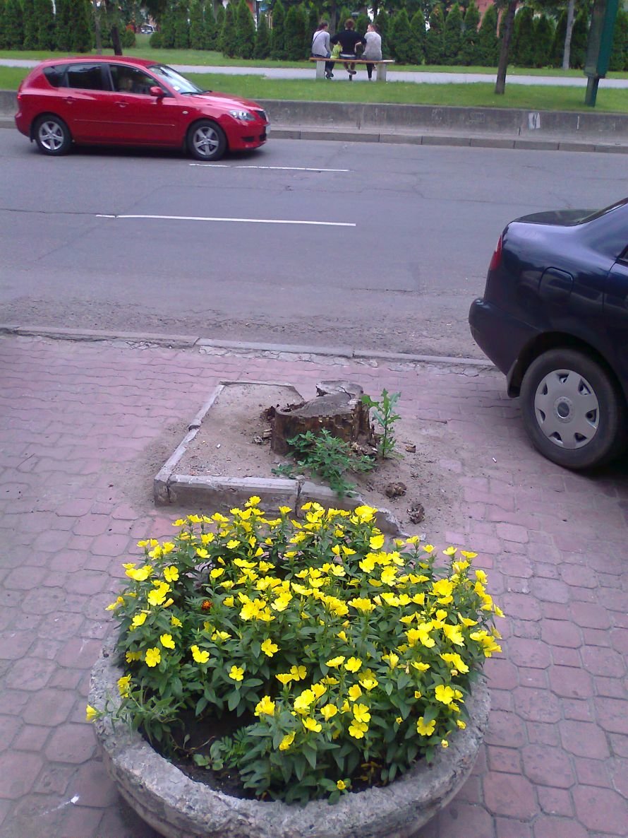 пни4