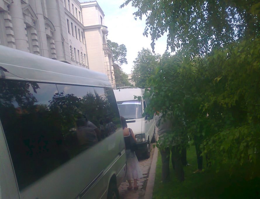 газон мутно