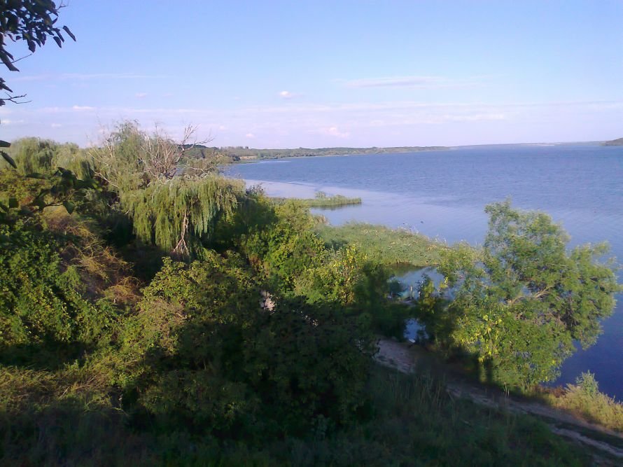 красота
