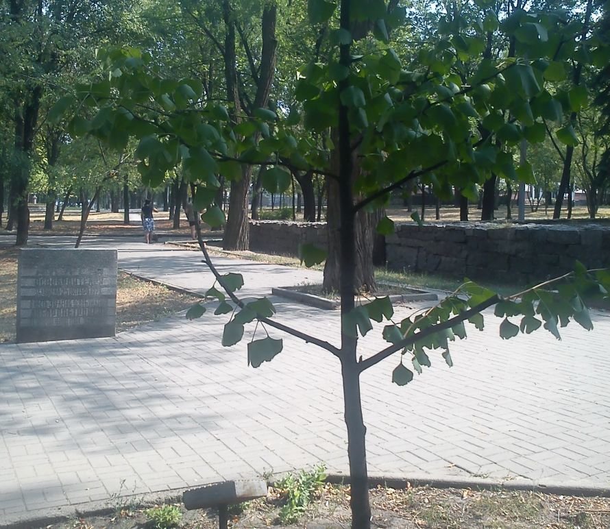 DSC00149