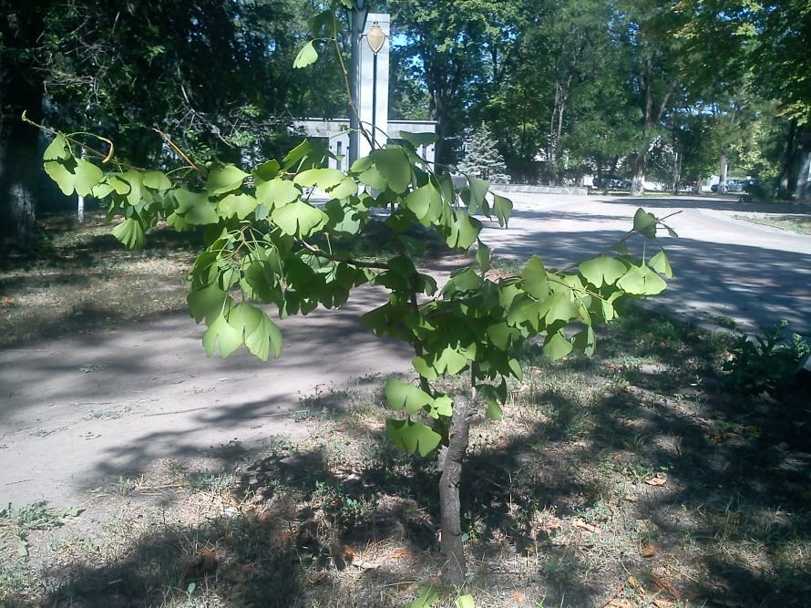 DSC00121