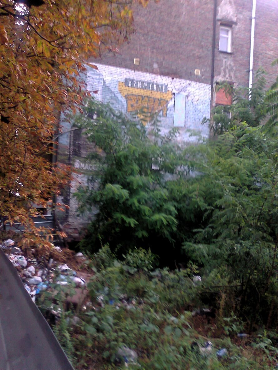 за забор1