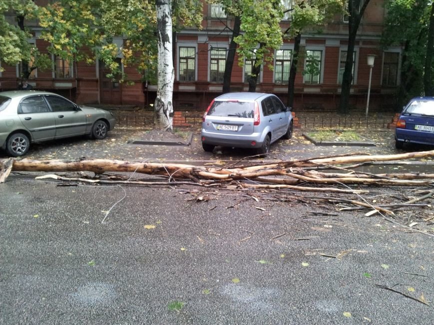 гончара2