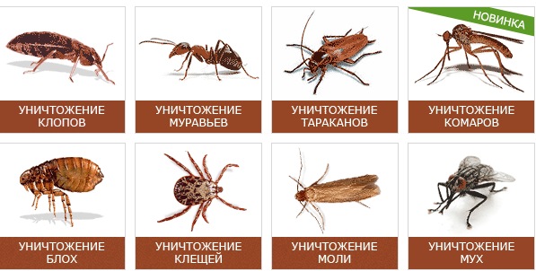 Знімок екрана від 2015-11-16 11:02:45
